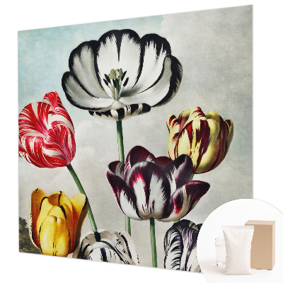 Fototapeta na zeď Barevné tulipány