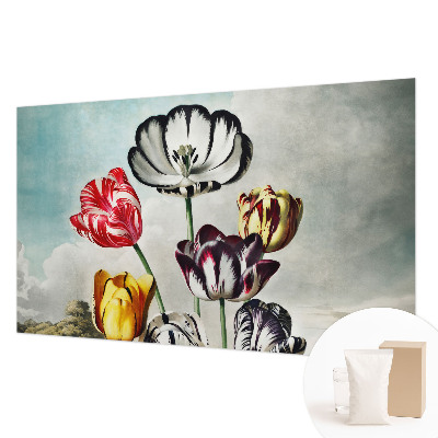 Fototapeta na zeď Barevné tulipány