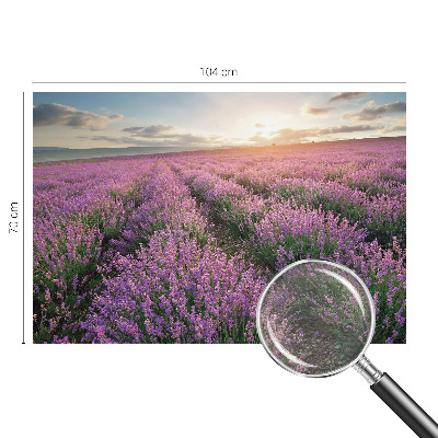 Fototapeta na stěnu Levandulová pole