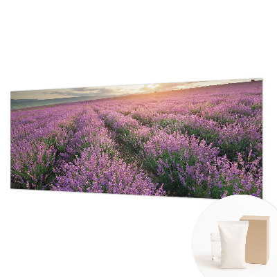 Fototapeta na stěnu Levandulová pole