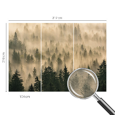 Fotografická tapeta vliesová Lesní mlha