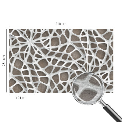 Fototapeta do ložnice Geometrická síť