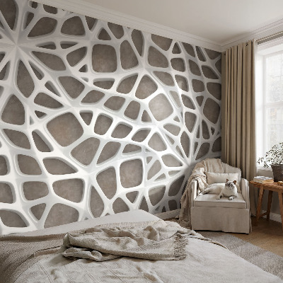 Fototapeta do ložnice Geometrická síť