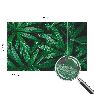 Vliesová fototapeta do ložnice Přírodní zeleň