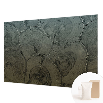 Fototapeta na zeď Dřevěné kroužky