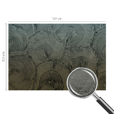 Fototapeta na zeď Dřevěné kroužky