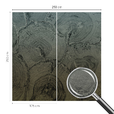 Fototapeta na zeď Dřevěné kroužky