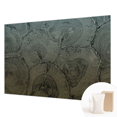 Fototapeta na zeď Dřevěné kroužky