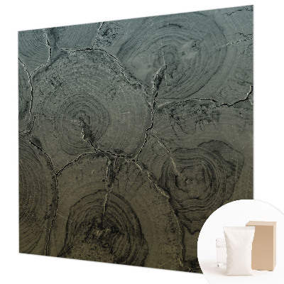 Fototapeta na zeď Dřevěné kroužky