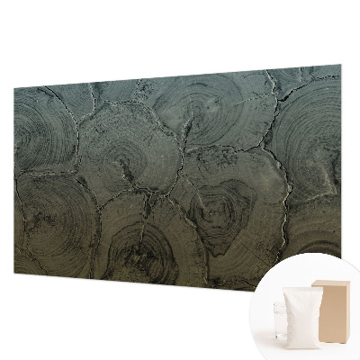 Fototapeta na zeď Dřevěné kroužky