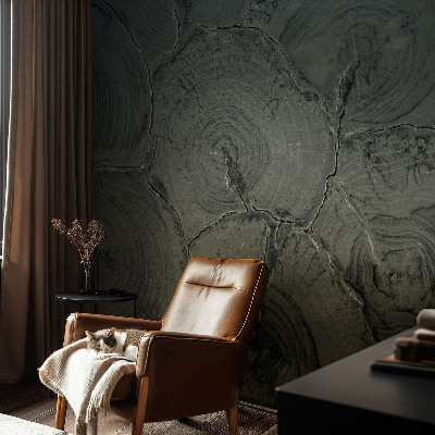 Fototapeta na zeď Dřevěné kroužky