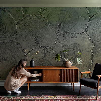 Fototapeta na zeď Dřevěné kroužky