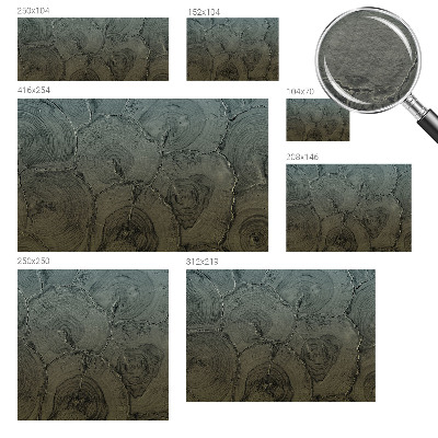 Fototapeta na zeď Dřevěné kroužky