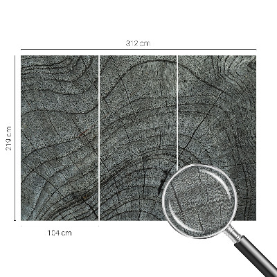 Fototapeta na stěnu Vzor zrna