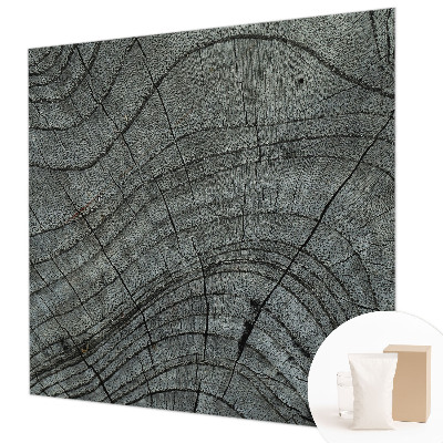 Fototapeta na stěnu Vzor zrna