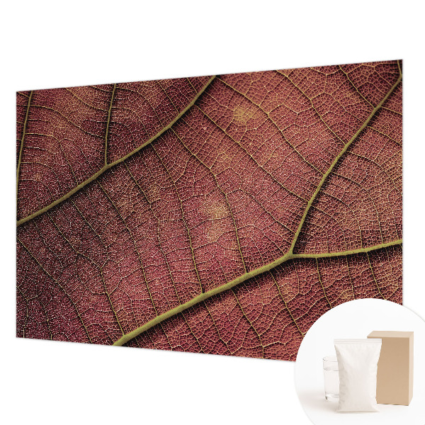 Vliesová fototapeta do obýváků Listová textura