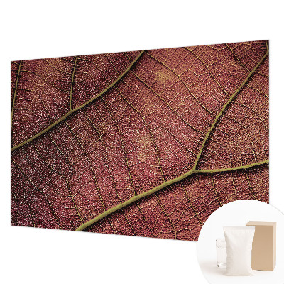 Vliesová fototapeta do obýváků Listová textura