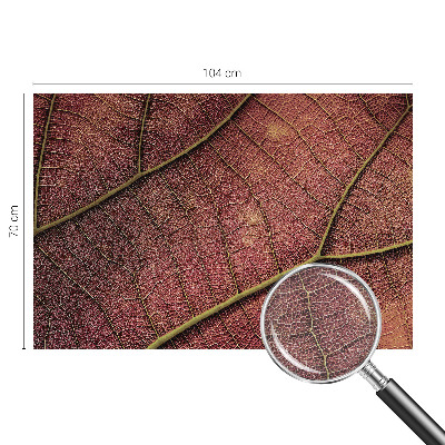 Vliesová fototapeta do obýváků Listová textura