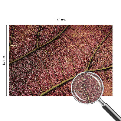 Vliesová fototapeta do obýváků Listová textura