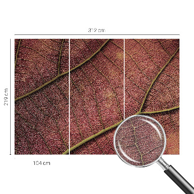 Vliesová fototapeta do obýváků Listová textura