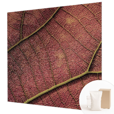 Vliesová fototapeta do obýváků Listová textura