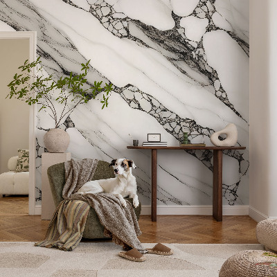 Moderní fototapeta na míru Kamenný vzor