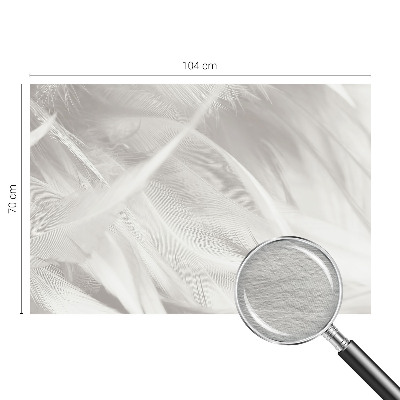 Moderní fototapeta na míru Jemné peří