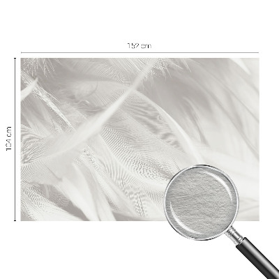 Moderní fototapeta na míru Jemné peří