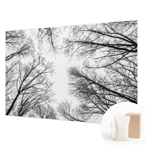 Fototapeta na stěnu Holé větve