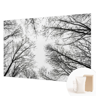 Fototapeta na stěnu Holé větve