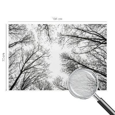 Fototapeta na stěnu Holé větve