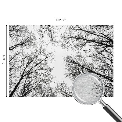 Fototapeta na stěnu Holé větve