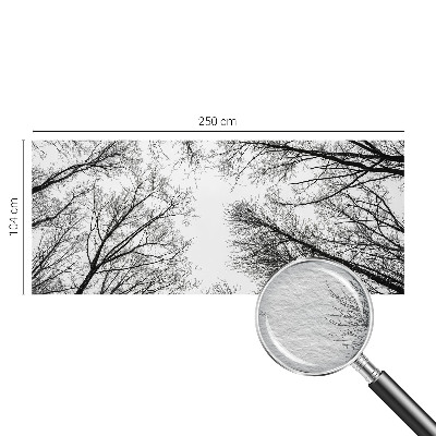 Fototapeta na stěnu Holé větve