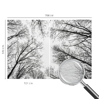 Fototapeta na stěnu Holé větve