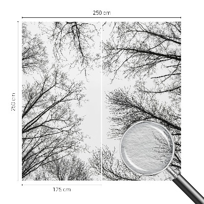 Fototapeta na stěnu Holé větve