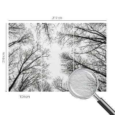 Fototapeta na stěnu Holé větve