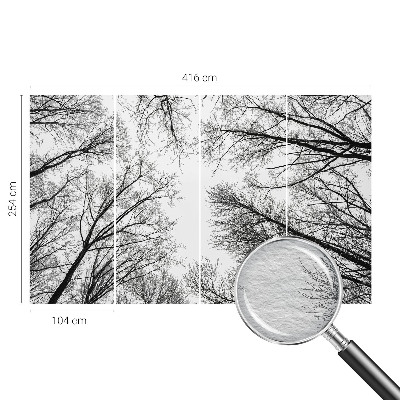 Fototapeta na stěnu Holé větve