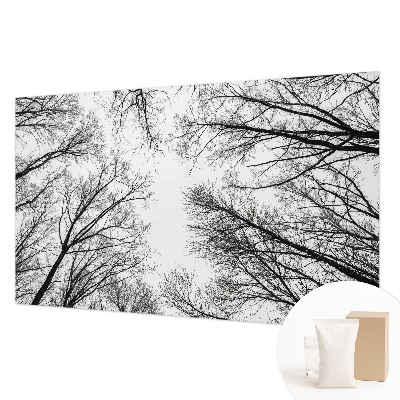 Fototapeta na stěnu Holé větve