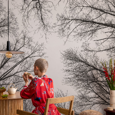 Fototapeta na stěnu Holé větve