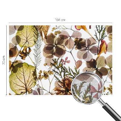 Fototapeta do ložnice Přírodní složení