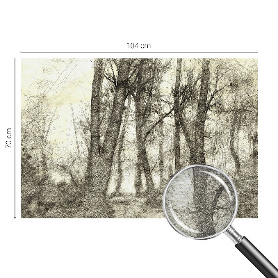 Fototapeta na míru do obýváku Lesní melancholie