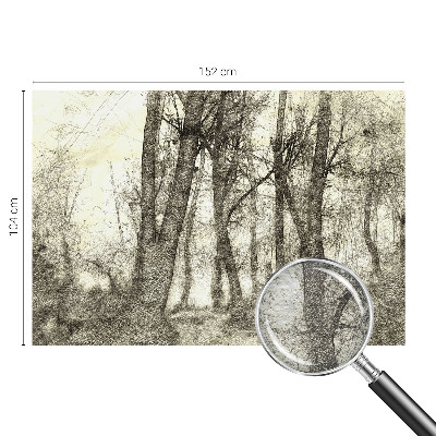 Fototapeta na míru do obýváku Lesní melancholie