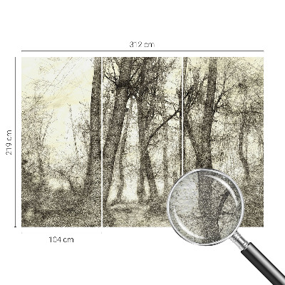 Fototapeta na míru do obýváku Lesní melancholie