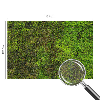 Fototapeta na stěnu Zelený koberec