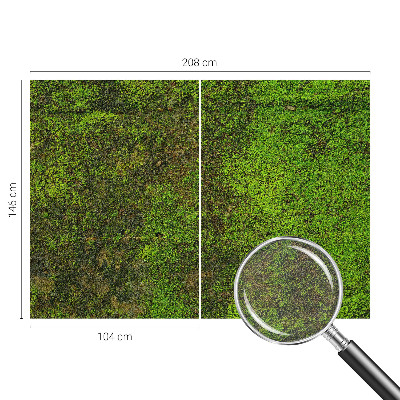 Fototapeta na stěnu Zelený koberec