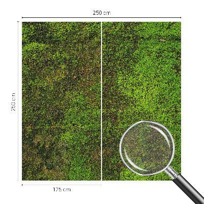 Fototapeta na stěnu Zelený koberec