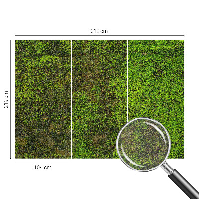 Fototapeta na stěnu Zelený koberec