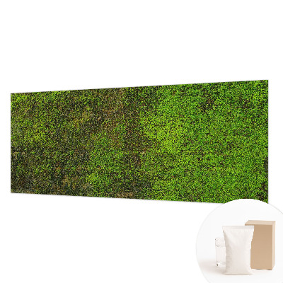 Fototapeta na stěnu Zelený koberec