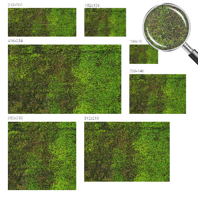 Fototapeta na stěnu Zelený koberec