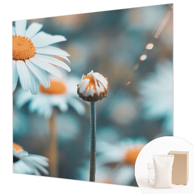 Fototapeta na míru do obýváku Heřmánková pochoutka